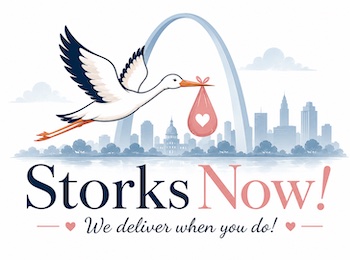 Storks Now Logo